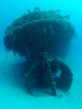 Dive With South Florida Diving Headquarters